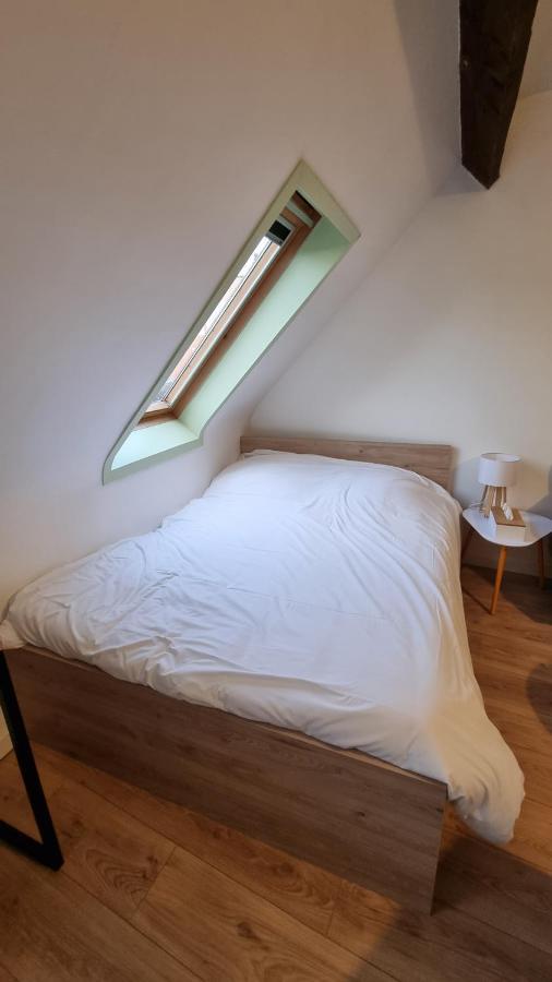 Studio Babylone - Parking & Wifi Chartres Bagian luar foto